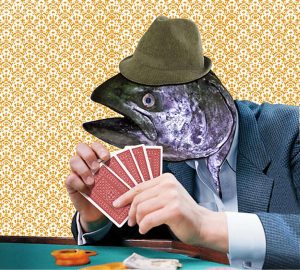 poker fish